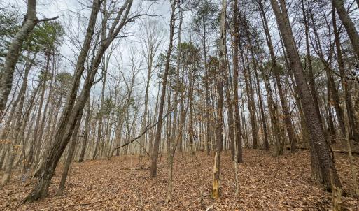 Photo #12 of Off Howle Drive, Burlington, NC 0.9 acres