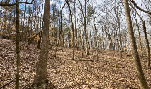 Photo #21 of Off Howle Drive, Burlington, NC 0.9 acres