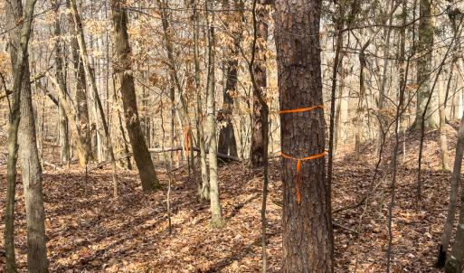 Photo #26 of Off Howle Drive, Burlington, NC 0.9 acres