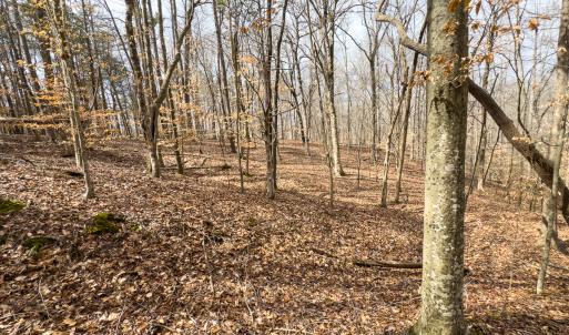 Photo #39 of Off Howle Drive, Burlington, NC 0.9 acres