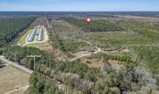 Photo #2 of SOLD property in Off Ivanhoe Road, Ivanhoe, NC 137.2 acres