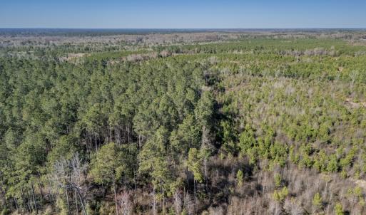 Photo #11 of SOLD property in Off Ivanhoe Road, Ivanhoe, NC 137.2 acres
