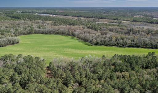 Photo #12 of SOLD property in Off Ivanhoe Road, Ivanhoe, NC 137.2 acres
