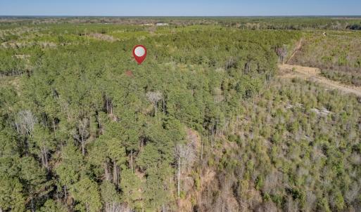 Photo #13 of SOLD property in Off Ivanhoe Road, Ivanhoe, NC 137.2 acres