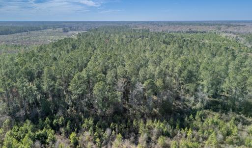 Photo #14 of SOLD property in Off Ivanhoe Road, Ivanhoe, NC 137.2 acres