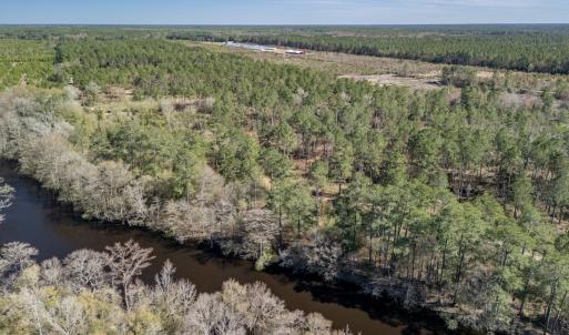 Photo #15 of SOLD property in Off Ivanhoe Road, Ivanhoe, NC 137.2 acres