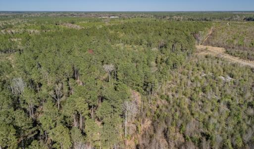 Photo #16 of SOLD property in Off Ivanhoe Road, Ivanhoe, NC 137.2 acres