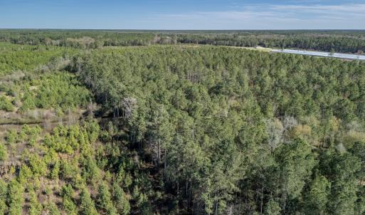 Photo #19 of SOLD property in Off Ivanhoe Road, Ivanhoe, NC 137.2 acres