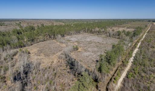Photo #20 of SOLD property in Off Ivanhoe Road, Ivanhoe, NC 137.2 acres