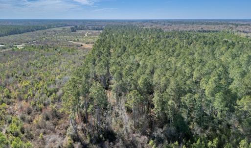 Photo #3 of SOLD property in Off Ivanhoe Road, Ivanhoe, NC 137.2 acres
