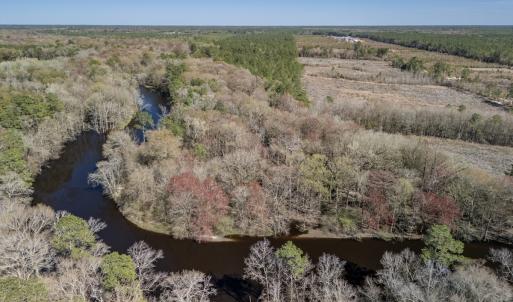 Photo #21 of SOLD property in Off Ivanhoe Road, Ivanhoe, NC 137.2 acres