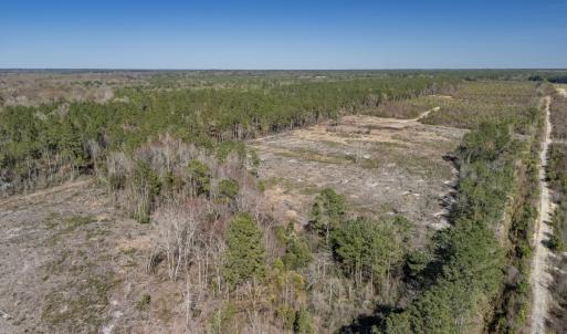 Photo #7 of SOLD property in Off Ivanhoe Road, Ivanhoe, NC 137.2 acres