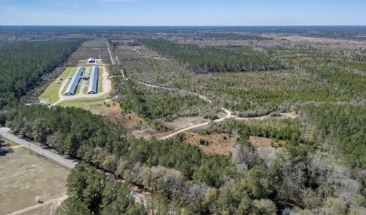 Photo #8 of SOLD property in Off Ivanhoe Road, Ivanhoe, NC 137.2 acres