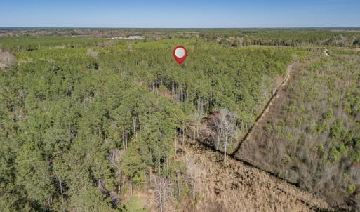 Photo #9 of SOLD property in Off Ivanhoe Road, Ivanhoe, NC 137.2 acres