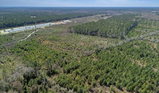 Photo #22 of SOLD property in Off Ivanhoe Road, Ivanhoe, NC 137.2 acres