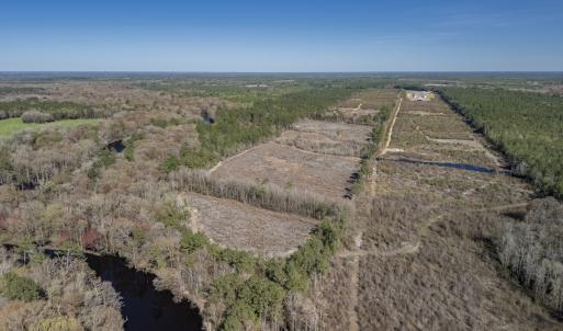 Photo #25 of SOLD property in Off Ivanhoe Road, Ivanhoe, NC 137.2 acres