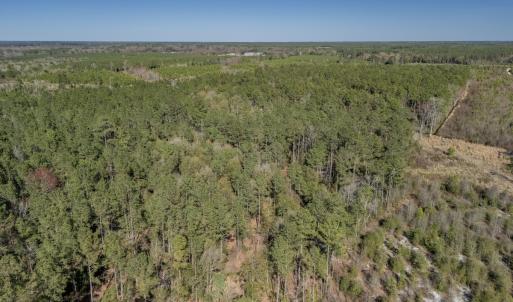 Photo #26 of SOLD property in Off Ivanhoe Road, Ivanhoe, NC 137.2 acres