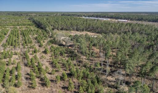 Photo #28 of SOLD property in Off Ivanhoe Road, Ivanhoe, NC 137.2 acres