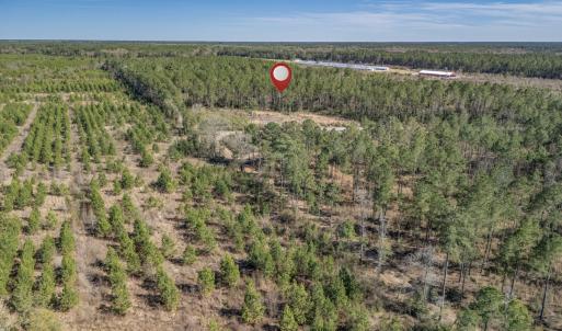 Photo #29 of SOLD property in Off Ivanhoe Road, Ivanhoe, NC 137.2 acres