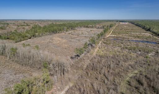 Photo #30 of SOLD property in Off Ivanhoe Road, Ivanhoe, NC 137.2 acres