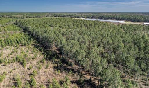 Photo #33 of SOLD property in Off Ivanhoe Road, Ivanhoe, NC 137.2 acres