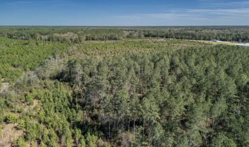 Photo #37 of SOLD property in Off Ivanhoe Road, Ivanhoe, NC 137.2 acres