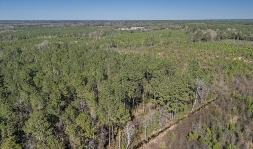 Photo #38 of SOLD property in Off Ivanhoe Road, Ivanhoe, NC 137.2 acres