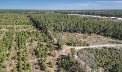 Photo #39 of SOLD property in Off Ivanhoe Road, Ivanhoe, NC 137.2 acres