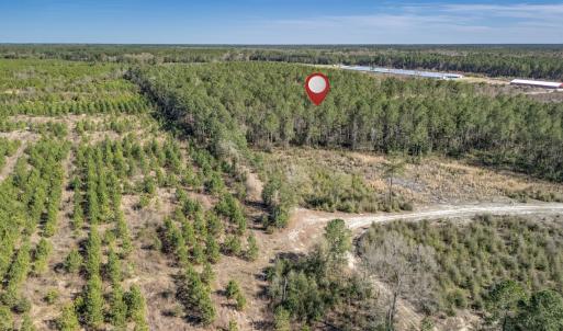 Photo #40 of SOLD property in Off Ivanhoe Road, Ivanhoe, NC 137.2 acres