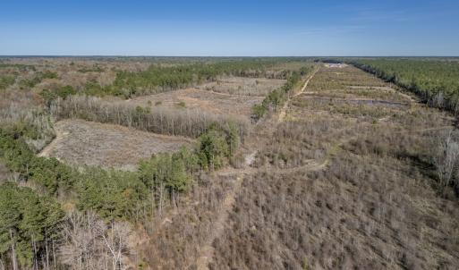 Photo #42 of SOLD property in Off Ivanhoe Road, Ivanhoe, NC 137.2 acres