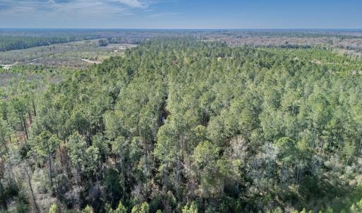 Photo #43 of SOLD property in Off Ivanhoe Road, Ivanhoe, NC 137.2 acres