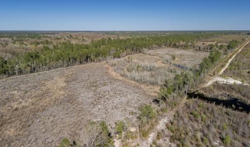 Photo #44 of SOLD property in Off Ivanhoe Road, Ivanhoe, NC 137.2 acres