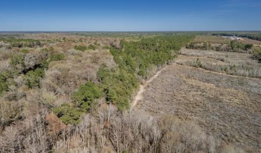 Photo #46 of SOLD property in Off Ivanhoe Road, Ivanhoe, NC 137.2 acres