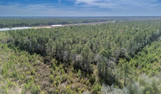 Photo #47 of SOLD property in Off Ivanhoe Road, Ivanhoe, NC 137.2 acres