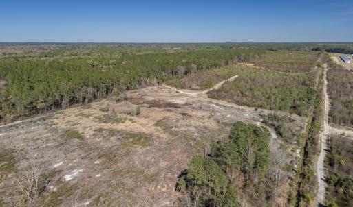 Photo #48 of SOLD property in Off Ivanhoe Road, Ivanhoe, NC 137.2 acres