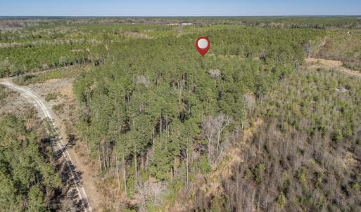 Photo #50 of SOLD property in Off Ivanhoe Road, Ivanhoe, NC 137.2 acres