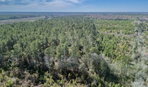 Photo #51 of SOLD property in Off Ivanhoe Road, Ivanhoe, NC 137.2 acres