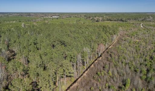 Photo #52 of SOLD property in Off Ivanhoe Road, Ivanhoe, NC 137.2 acres