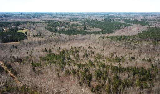 Photo #4 of SOLD property in Off Goodes Ferry Road, South Hill, VA 53.5 acres