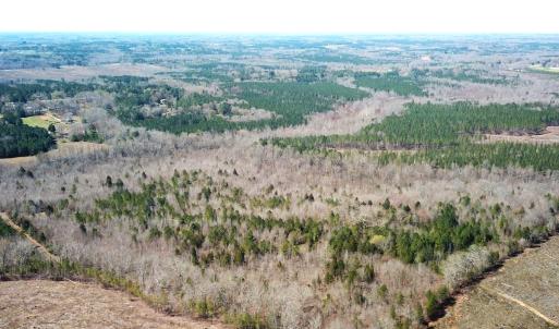 Photo #5 of SOLD property in Off Goodes Ferry Road, South Hill, VA 53.5 acres