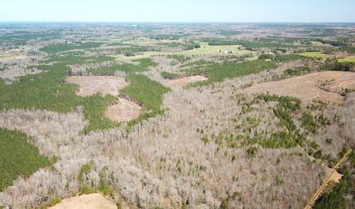Photo #6 of SOLD property in Off Goodes Ferry Road, South Hill, VA 53.5 acres