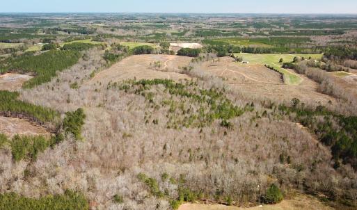 Photo #7 of SOLD property in Off Goodes Ferry Road, South Hill, VA 53.5 acres