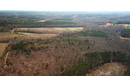 Photo #9 of SOLD property in Off Goodes Ferry Road, South Hill, VA 53.5 acres