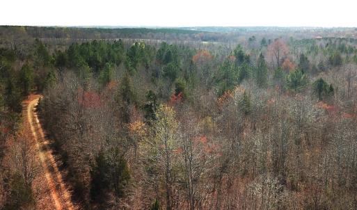 Photo #10 of SOLD property in Off Goodes Ferry Road, South Hill, VA 53.5 acres