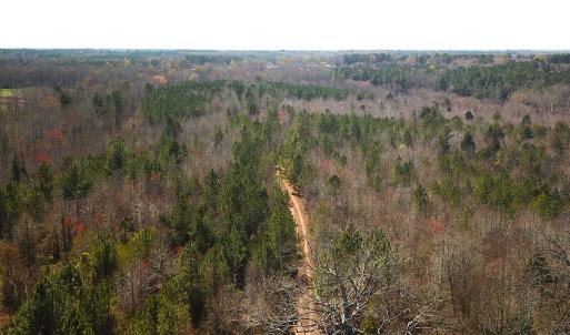 Photo #11 of Off Goodes Ferry Road, South Hill, VA 53.5 acres