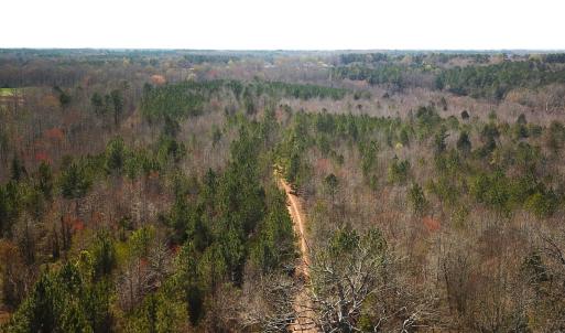 Photo #11 of SOLD property in Off Goodes Ferry Road, South Hill, VA 53.5 acres