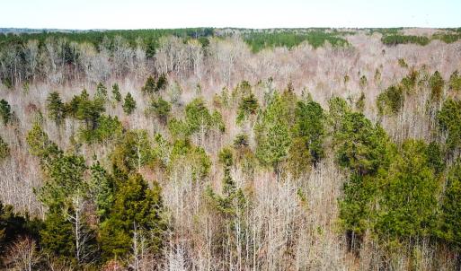 Photo #12 of SOLD property in Off Goodes Ferry Road, South Hill, VA 53.5 acres