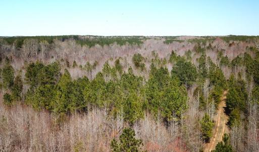 Photo #13 of SOLD property in Off Goodes Ferry Road, South Hill, VA 53.5 acres