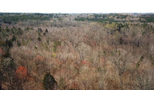 Photo #14 of SOLD property in Off Goodes Ferry Road, South Hill, VA 53.5 acres