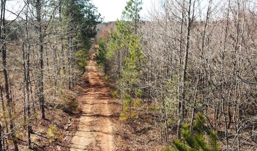 Photo #15 of SOLD property in Off Goodes Ferry Road, South Hill, VA 53.5 acres